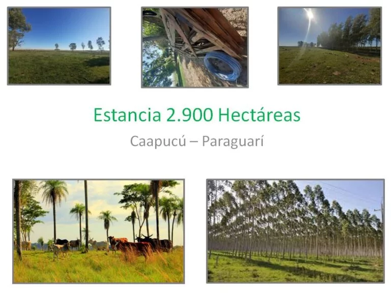 immo paraguay