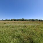 Immo Paraguay terreno