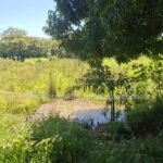 Propiedad en venta Paraguay fuente de agua natural