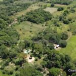 Campo en venta Paraguay - Vista aérea de monte y pasturas naturales