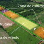 Infografía aérea que identifica las zonas de frutales, viñedos y cultivos estacionales.