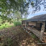Galpón o depósito agrícola bajo sombra, estructura sólida para renovar y guardar maquinaria