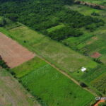 Panorámica con drone que muestra la diversidad de parcelas cultivadas y áreas boscosas.