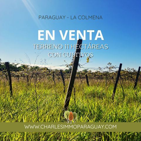 Terreno agrícola de 11 hectáreas en venta con cultivos en La Colmena, Paraguay.