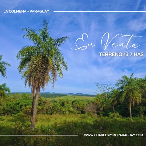 Terreno de altura 13.7 hectáreas en venta con cultivos en La Colmena, Paraguay.