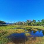 Lago natural propiedad rural en venta La Colmena Paraguay piscicultura