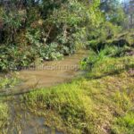 Bosque nativo arroyo propiedad rural La Colmena Paraguay