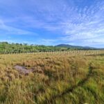 Terreno de 13,7 hectáreas en venta en La Colmena Paraguay
