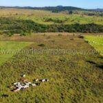 Terreno 13,7 has en venta La Colmena Paraguay vista drone