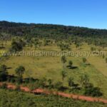 Vista drone bosque y colinas terreno Paraguay La Colmena