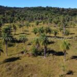 Bosque subtropical y pradera terreno en venta Paraguay