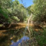 Arroyo terreno Paraguay