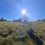 Vista panorámica del terreno de 40 ha en venta cerca de La Colmena Paraguay