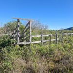 Corral a renovar en terreno de 40 ha en venta La Colmena Paraguay