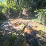Fuente natural y arroyo interno terreno 40 ha La Colmena Paraguay