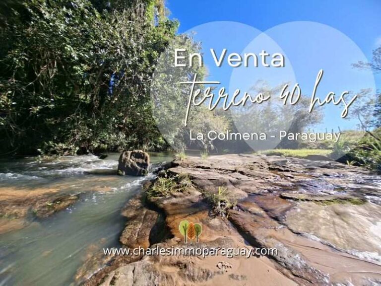 TERRENO 40 HAS