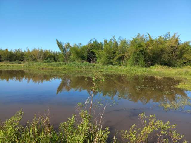 arroyo en paraguay