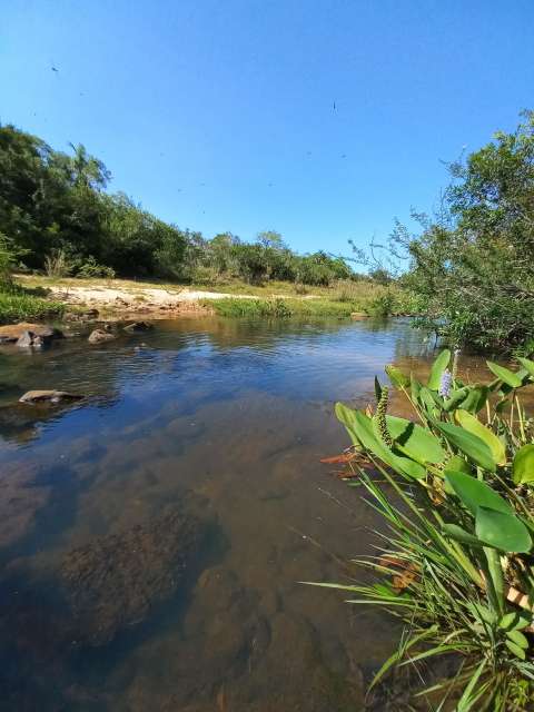 arroyo en paraguay