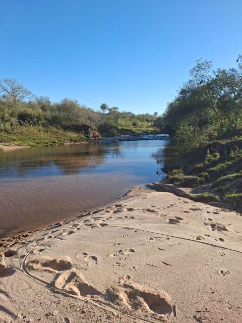 arroyo en paraguay