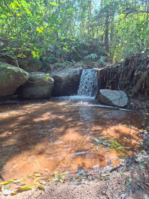 arroyo en paraguay