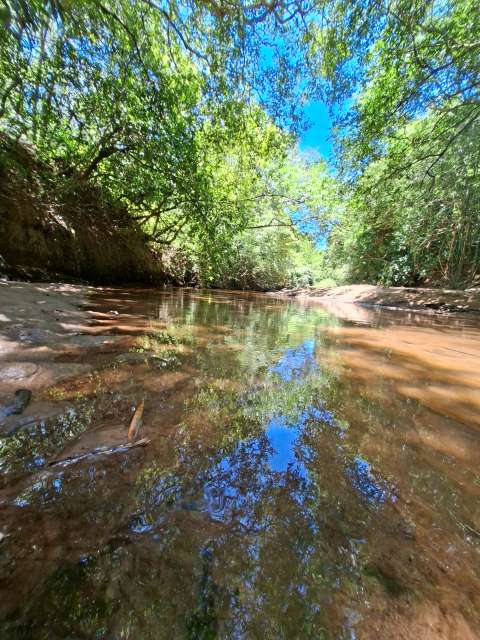 arroyo en paraguay