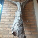 ESTANCIA PARAGUAY Paraguay