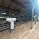 ESTANCIA PARAGUAY Paraguay