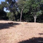 ESTANCIA PARAGUAY Paraguay