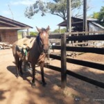 ESTANCIA PARAGUAY Paraguay