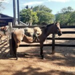 ESTANCIA PARAGUAY Paraguay