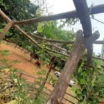ESTANCIA PARAGUAY Paraguay