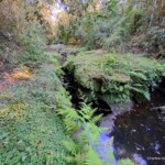 Terreno en venta Paraguay immo paraguay