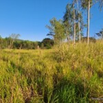 Terreno en venta Paraguay immo paraguay