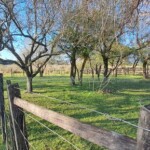 Propiedad en Venta Paraguay Immo Paraguay