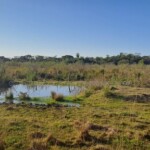 Propiedad en Venta Paraguay Immo Paraguay