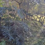 Propiedad en Venta Paraguay Immo Paraguay