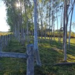 Propiedad en Venta Paraguay Immo Paraguay