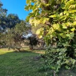 Propiedad en Venta Paraguay Immo Paraguay