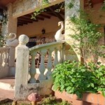 Propiedad en Venta Paraguay Immo Paraguay