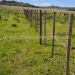 Terreno en venta Paraguay Immo Paraguay