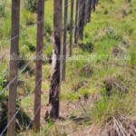 Terreno en venta Paraguay Immo Paraguay