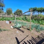 Terreno en venta Paraguay Immo Paraguay
