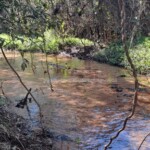 Terreno en venta Paraguay Immo Paraguay