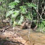 Terreno en venta Paraguay Immo Paraguay