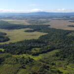 Terreno en venta 11 has Paraguay Immo Paraguay